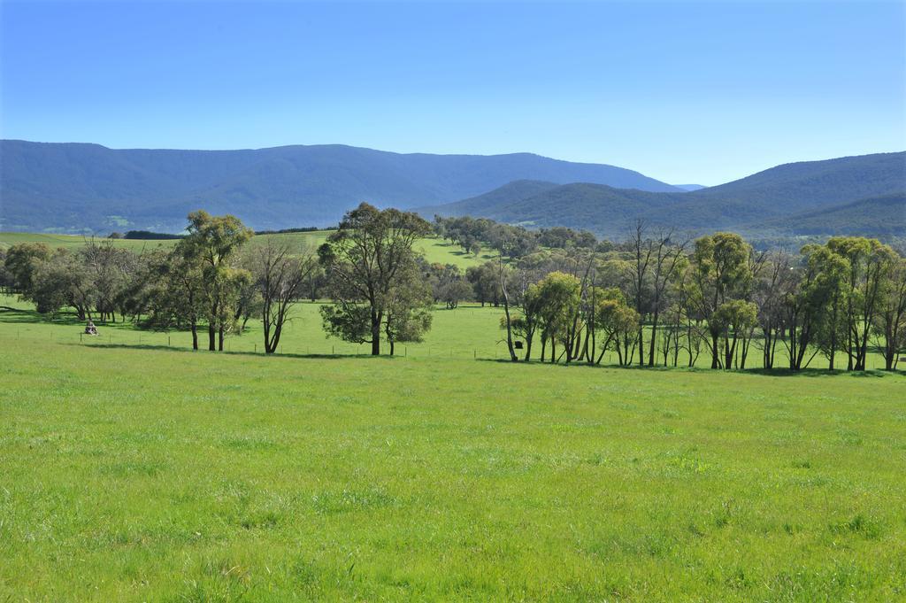 Langbrook Cottages Yarra Junction Camera foto