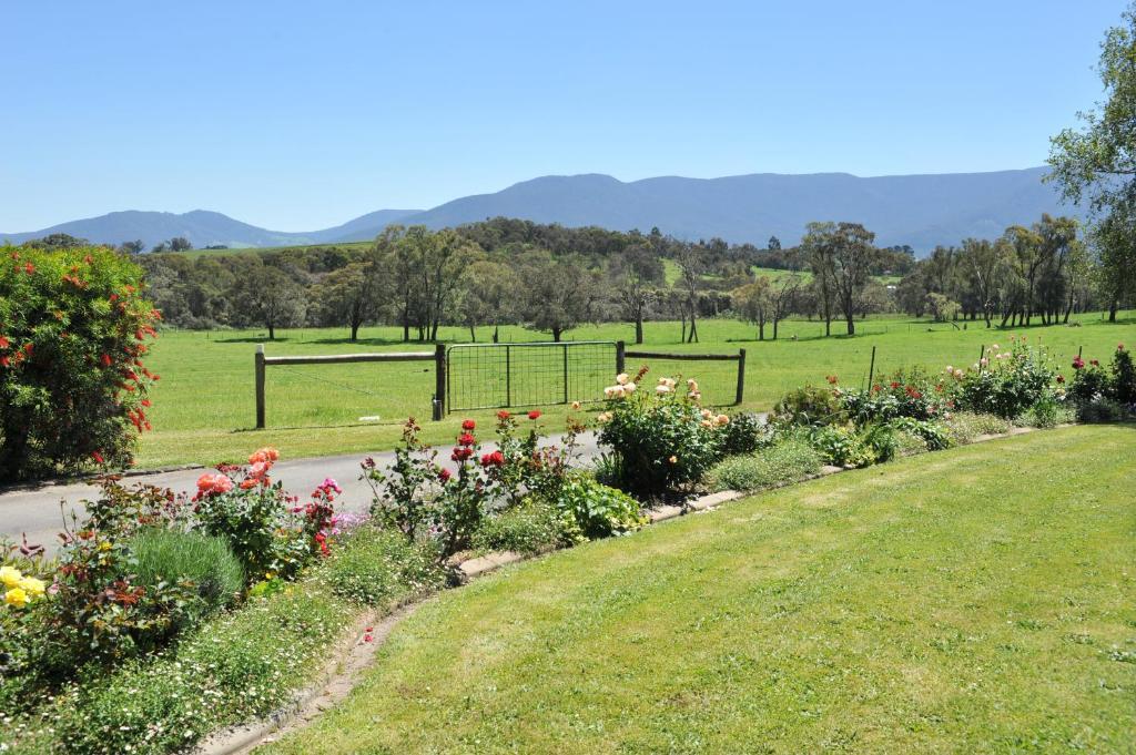 Langbrook Cottages Yarra Junction Esterno foto